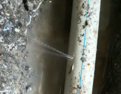 富川测漏水哪家好