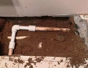 富川测漏水哪家好