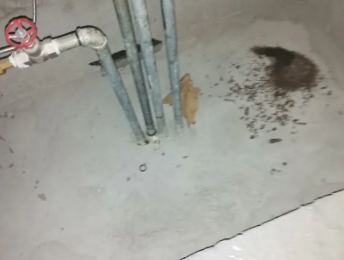 富川卫生间测漏水价格明细