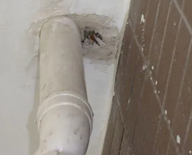 富川漏水检测哪家好